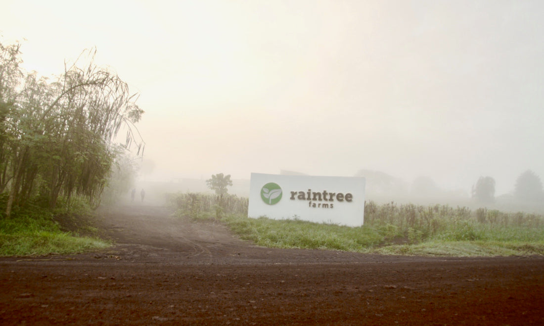 About Raintree Farms