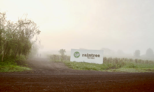 About Raintree Farms